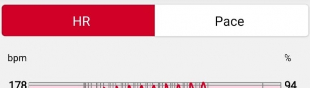 Mači, kas palikuši šajā 2020